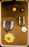 NASA Distinguished Public Service medals and pins.