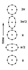 Effect of a gravity wave on a ring of particles.
