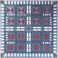squid_chip