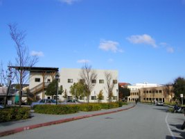 Stanford_Via_Palou_St